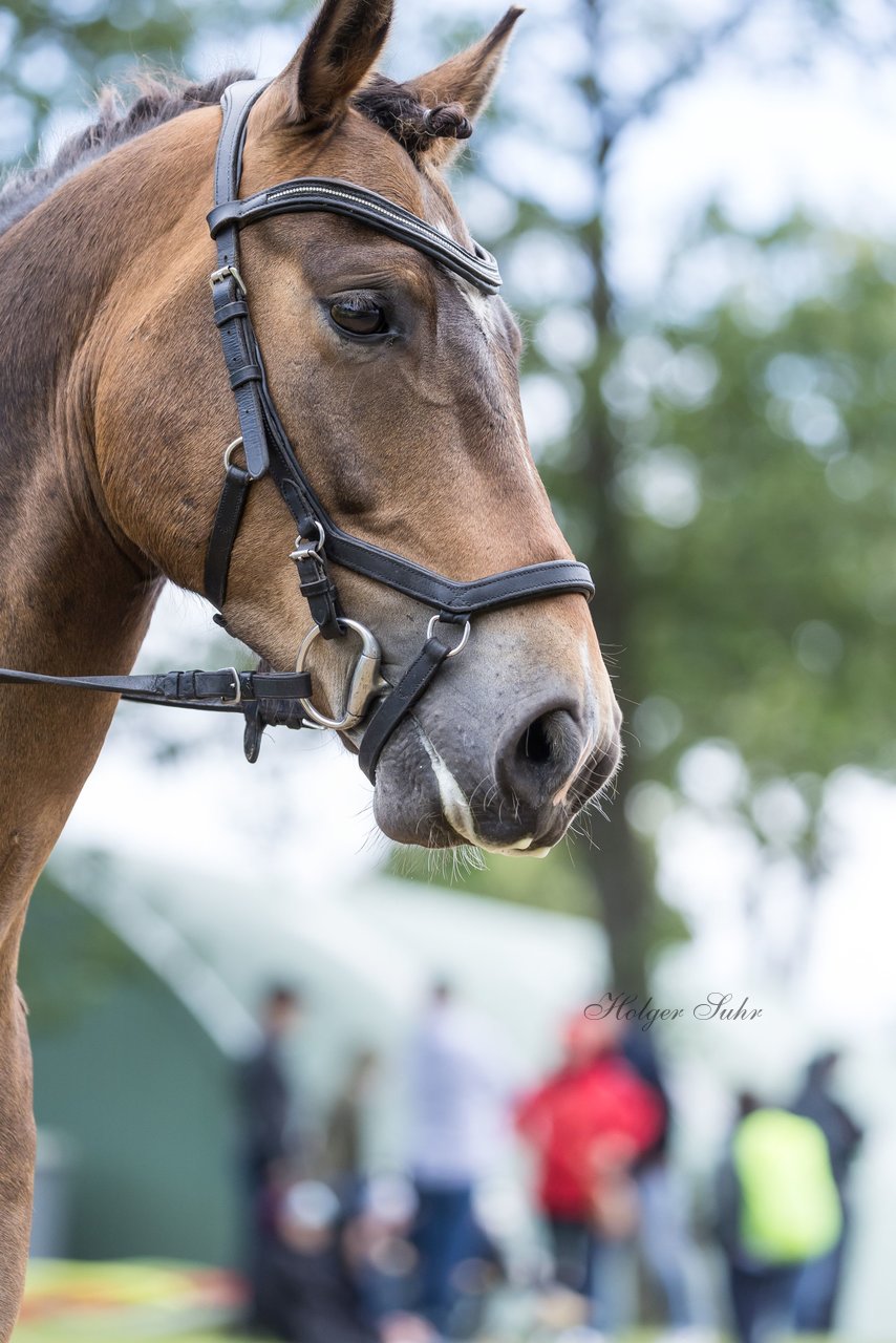 Bild 201 - Pony Akademie Turnier